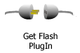 Get Flash Plugin