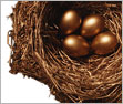 Nest Eggs